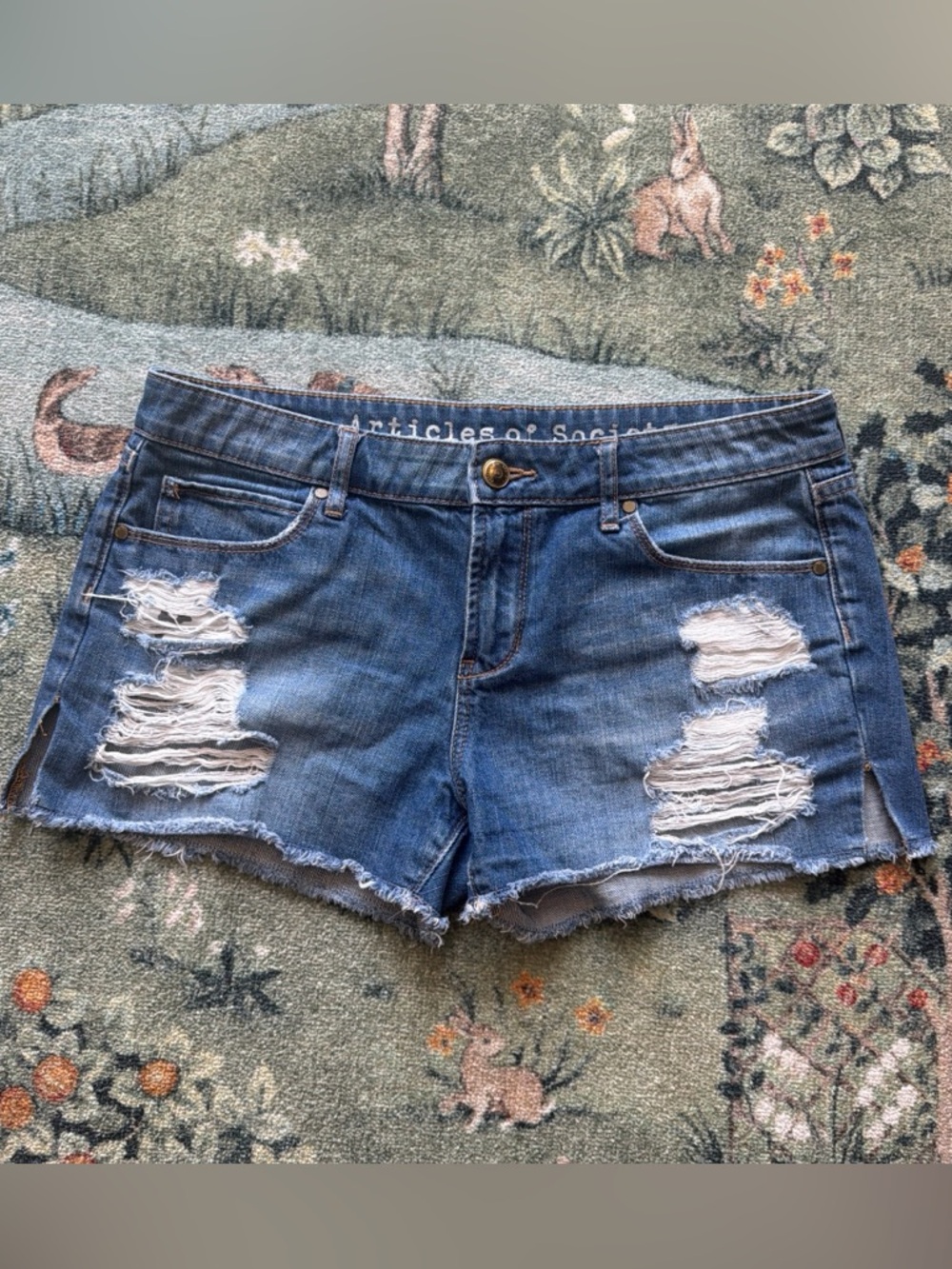 Size 28 Low Rise Articles of Society Denim Shorts